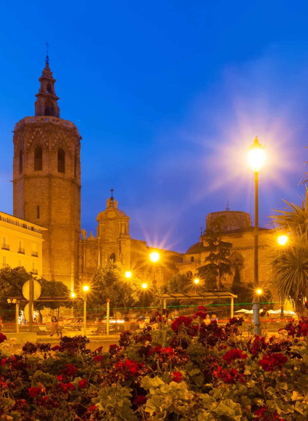 img carasal 1